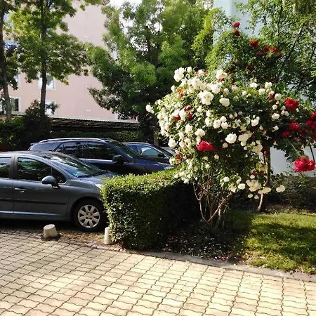 Guest Dental Space 3*