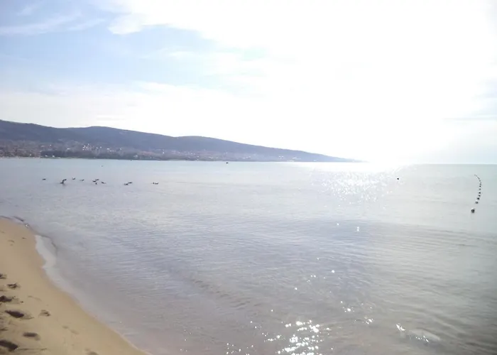 Guest Dental Space Lejlighedshotel 3*